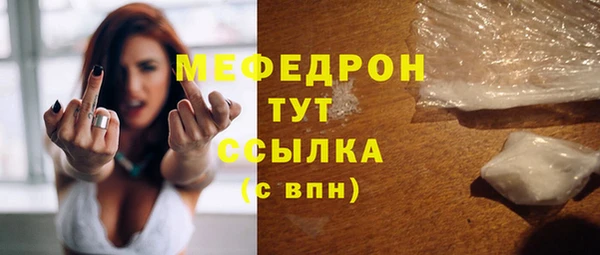spice Дмитриев