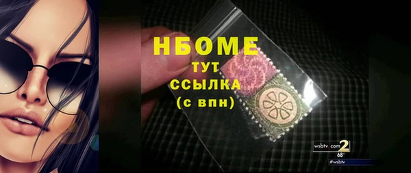 spice Дмитриев