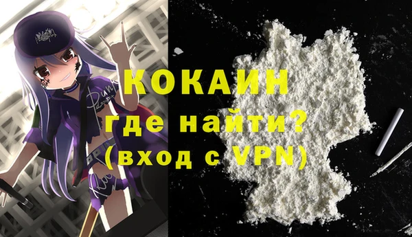 spice Дмитриев