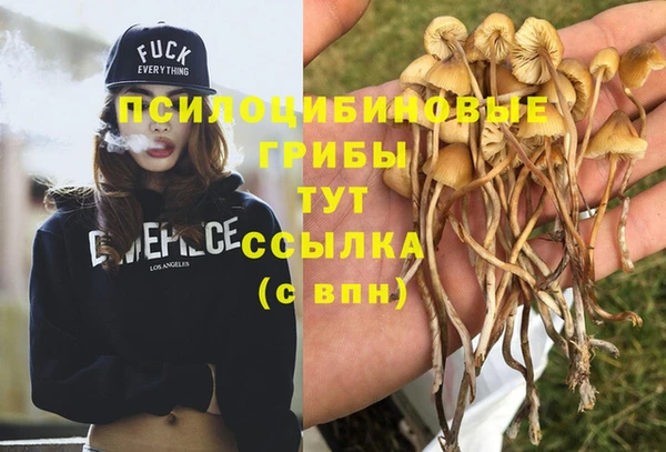 spice Дмитриев