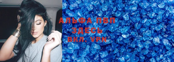 spice Дмитриев
