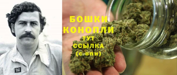 spice Дмитриев
