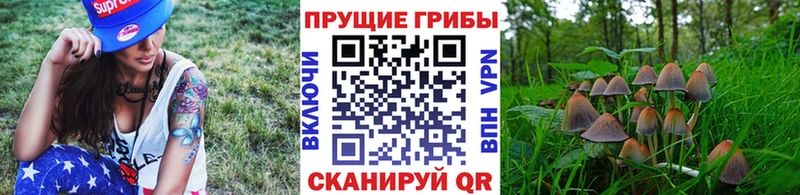 Псилоцибиновые грибы Psilocybine cubensis  Купить закладки  Темрюк 